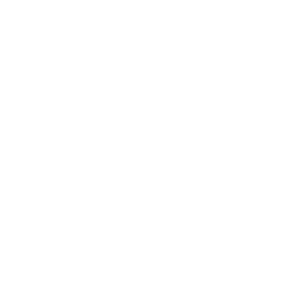 premiere pro